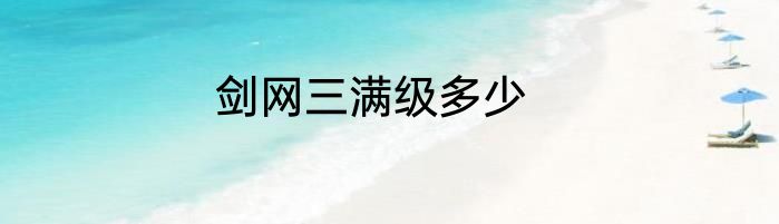剑网三满级多少