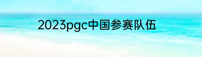 2023pgc中国参赛队伍