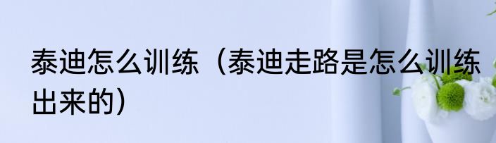 泰迪怎么训练（泰迪走路是怎么训练出来的）