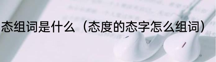 态组词是什么（态度的态字怎么组词）