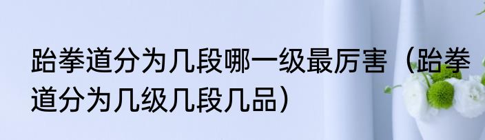 跆拳道分为几段哪一级最厉害（跆拳道分为几级几段几品）