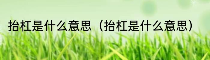 抬杠是什么意思（抬杠是什么意思）