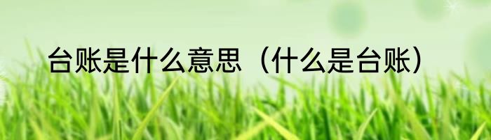 台账是什么意思（什么是台账）