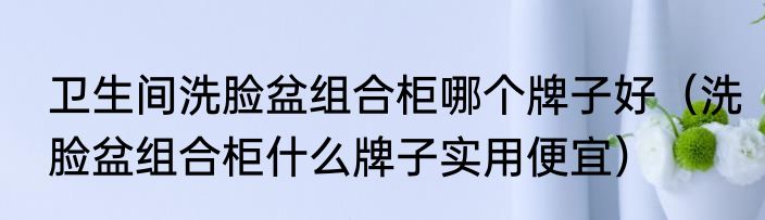 卫生间洗脸盆组合柜哪个牌子好（洗脸盆组合柜什么牌子实用便宜）