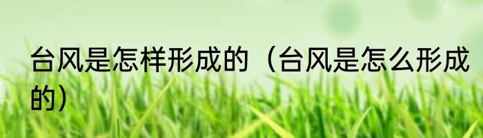 台风是怎样形成的（台风是怎么形成的）