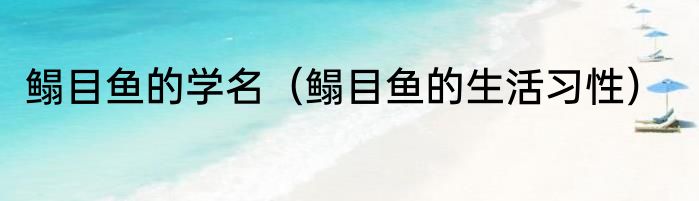 鳎目鱼的学名（鳎目鱼的生活习性）