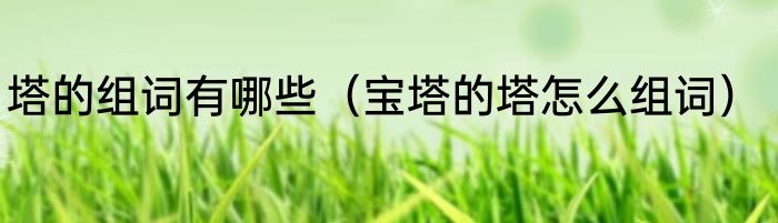 塔的组词有哪些（宝塔的塔怎么组词）