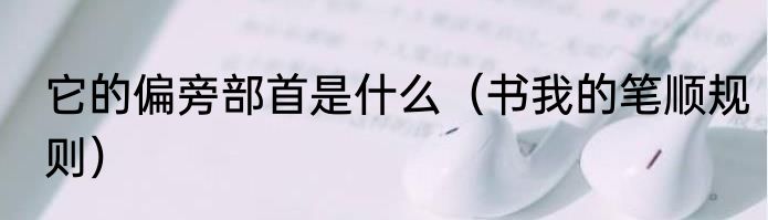 它的偏旁部首是什么（书我的笔顺规则）