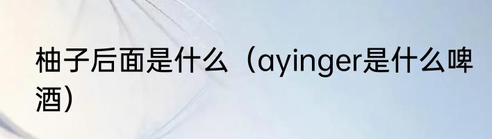 柚子后面是什么（ayinger是什么啤酒）
