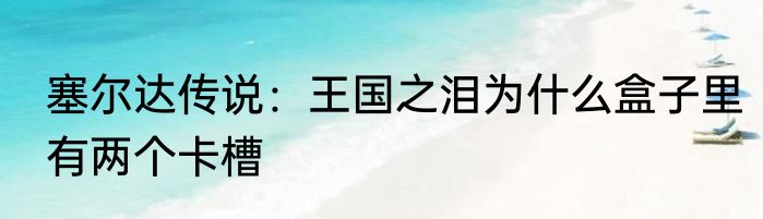 塞尔达传说：王国之泪为什么盒子里有两个卡槽