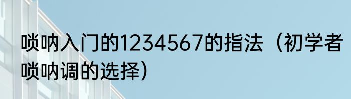 唢呐入门的1234567的指法（初学者唢呐调的选择）