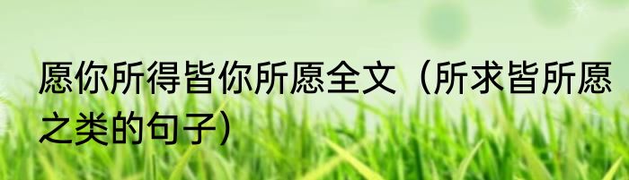 愿你所得皆你所愿全文（所求皆所愿之类的句子）