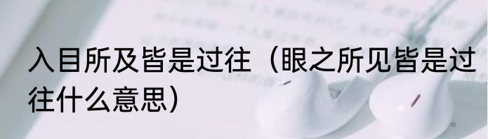 入目所及皆是过往（眼之所见皆是过往什么意思）