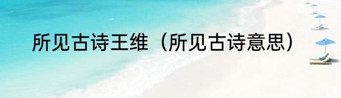 所见古诗王维（所见古诗意思）