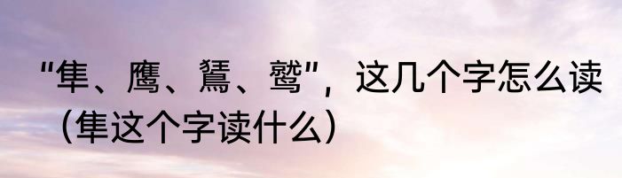 “隼、鹰、鵟、鹫”，这几个字怎么读（隼这个字读什么）