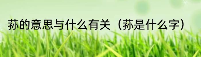荪的意思与什么有关（荪是什么字）