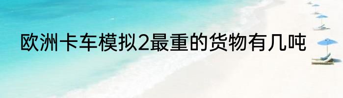 欧洲卡车模拟2最重的货物有几吨
