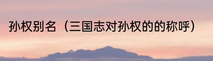 孙权别名（三国志对孙权的的称呼）