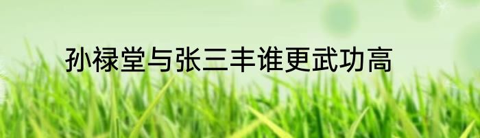 孙禄堂与张三丰谁更武功高