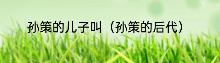 孙策的儿子叫（孙策的后代）