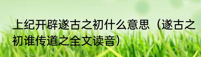 上纪开辟遂古之初什么意思（遂古之初谁传道之全文读音）