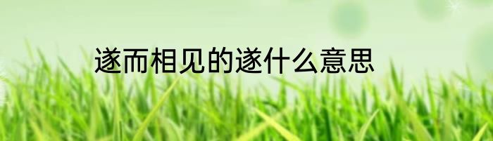 遂而相见的遂什么意思