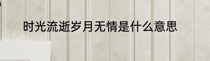 时光流逝岁月无情是什么意思