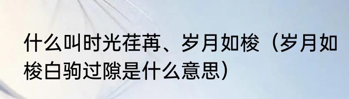 什么叫时光荏苒、岁月如梭（岁月如梭白驹过隙是什么意思）
