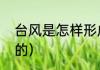 台风是怎样形成的（台风是怎么形成的）