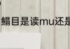 鳎目是读mu还是ma（鳎目鱼的学名）