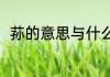 荪的意思与什么有关（荪是什么字）