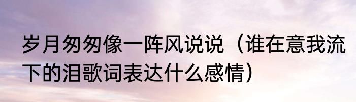 岁月匆匆像一阵风说说（谁在意我流下的泪歌词表达什么感情）