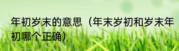 年初岁末的意思（年末岁初和岁末年初哪个正确）