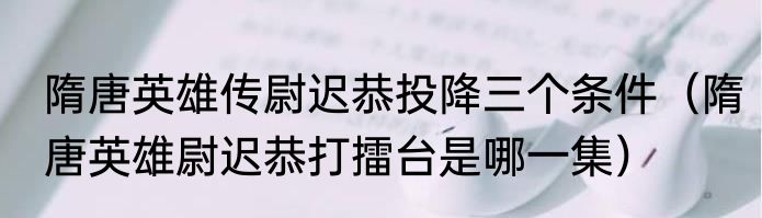 隋唐英雄传尉迟恭投降三个条件（隋唐英雄尉迟恭打擂台是哪一集）