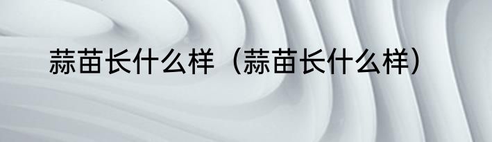 蒜苗长什么样（蒜苗长什么样）