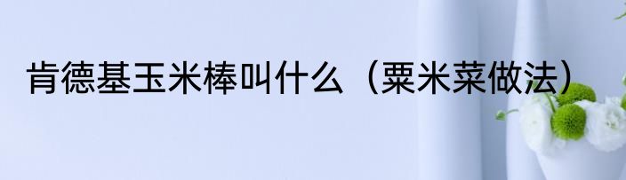 肯德基玉米棒叫什么（粟米菜做法）