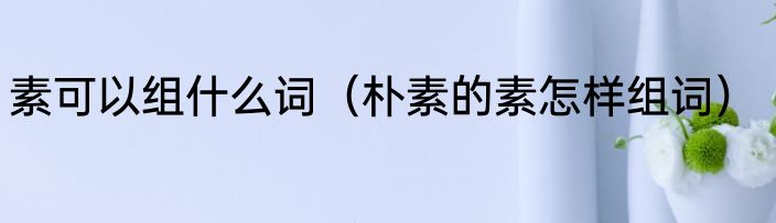 素可以组什么词（朴素的素怎样组词）