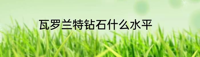 瓦罗兰特钻石什么水平