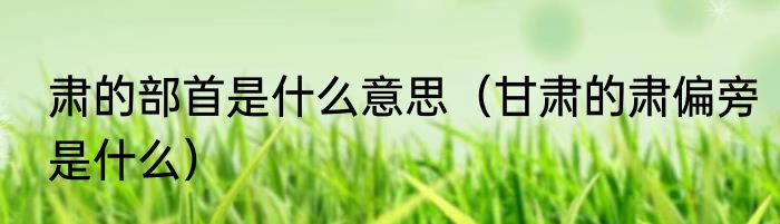 肃的部首是什么意思（甘肃的肃偏旁是什么）