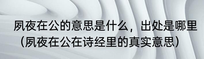 夙夜在公的意思是什么，出处是哪里（夙夜在公在诗经里的真实意思）