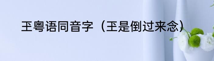 玊粤语同音字（玊是倒过来念）
