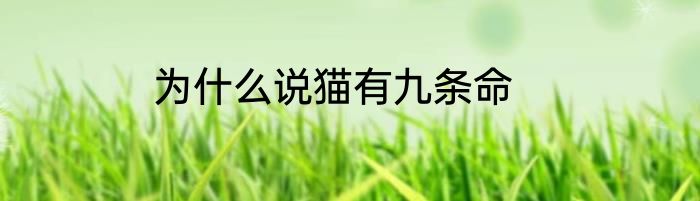 为什么说猫有九条命