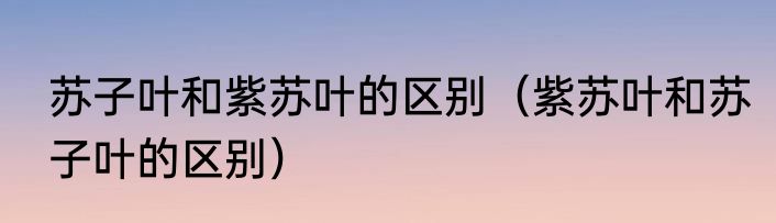 苏子叶和紫苏叶的区别（紫苏叶和苏子叶的区别）