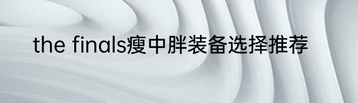 the finals瘦中胖装备选择推荐