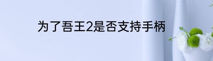为了吾王2是否支持手柄