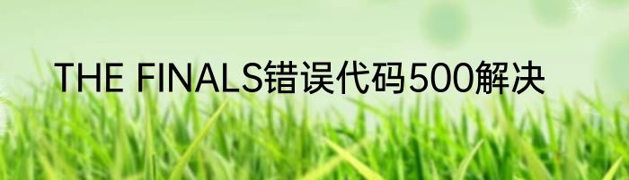 THE FINALS错误代码500解决