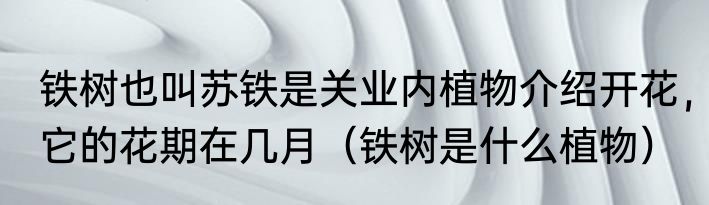 铁树也叫苏铁是关业内植物介绍开花，它的花期在几月（铁树是什么植物）