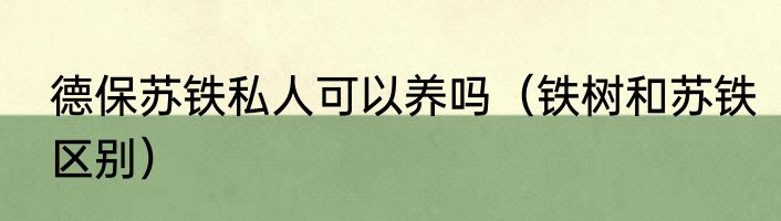 德保苏铁私人可以养吗（铁树和苏铁区别）