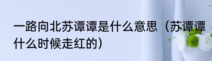 一路向北苏谭谭是什么意思（苏谭谭什么时候走红的）