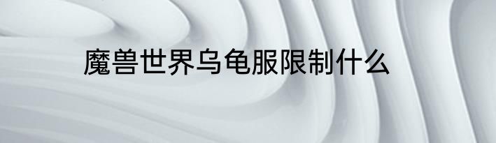 魔兽世界乌龟服限制什么